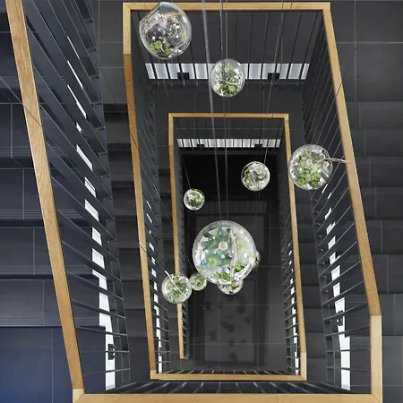 Waveboard & Boardinghouse