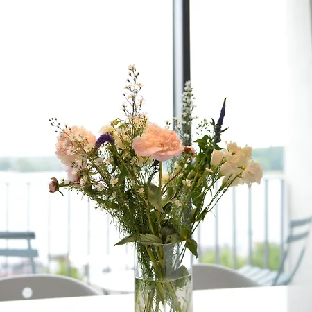 Apartahotel Waveboard & Boardinghouse Potsdam