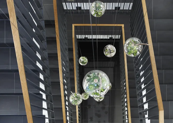 Waveboard & Boardinghouse